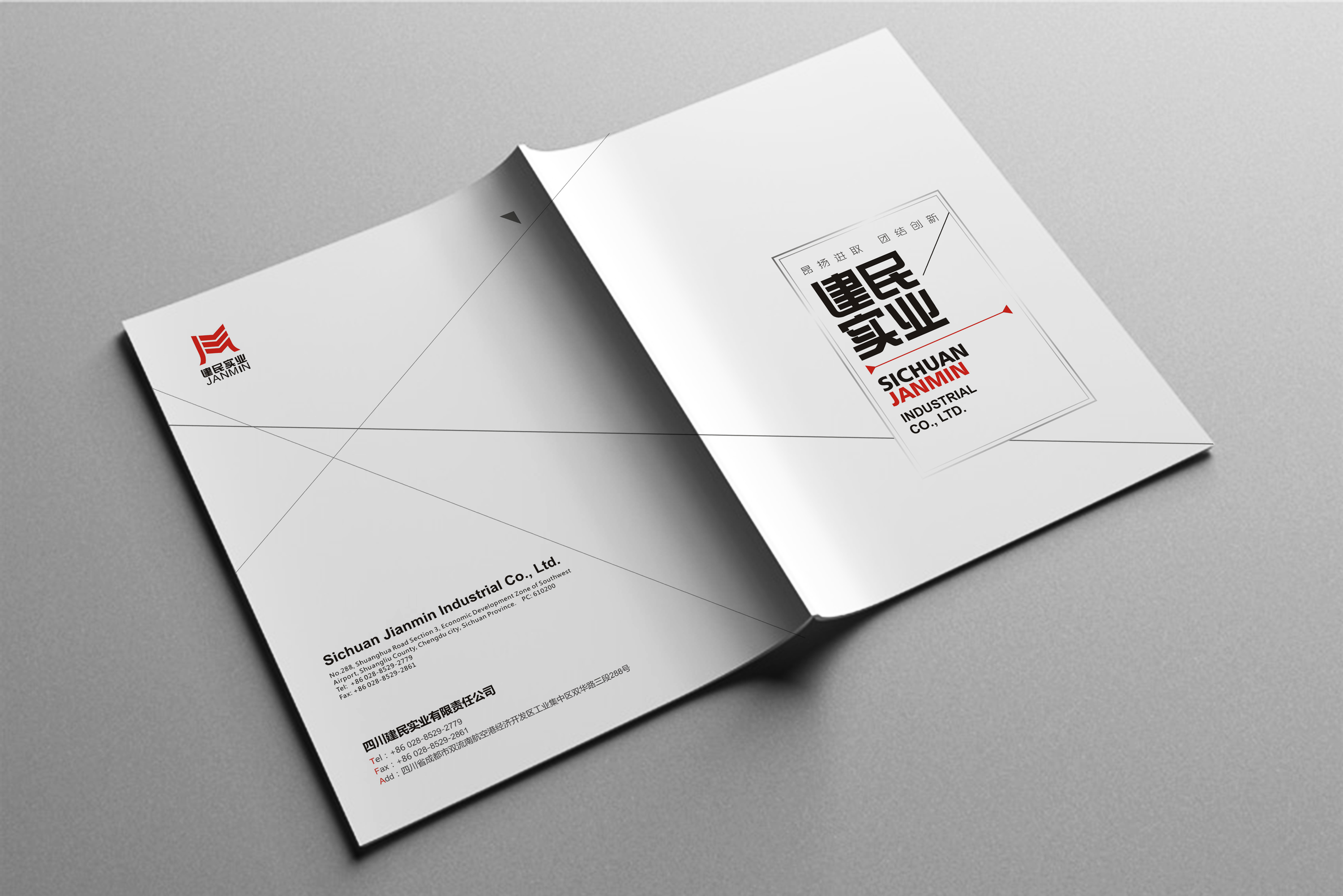 4ɶO(sh)ӋԏV湫˾:ɶO(sh)Ӌ˾ Щ^õ