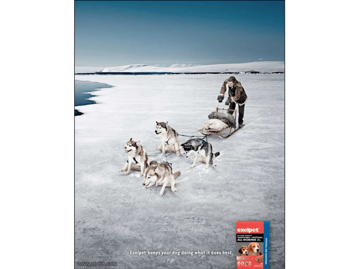 4(lin)V湫˾Ʒ:(lin)V޹˾ô