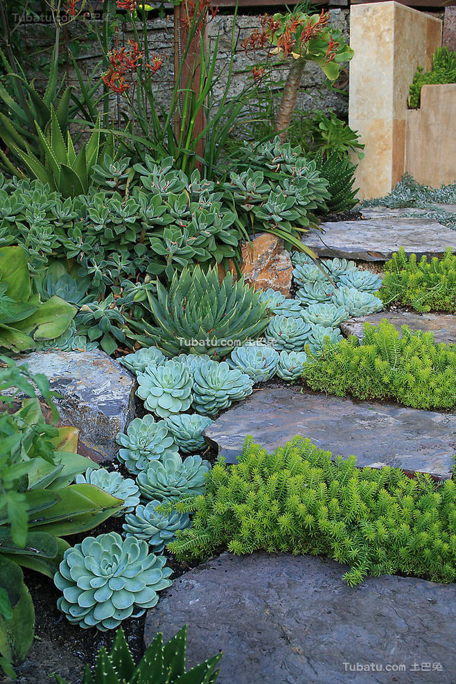 2@O(sh)Ӌ(j):@(jing)¶_@O(sh)Ӌ(j)Щ