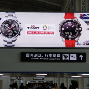 CVCV摪ԓ]o͑