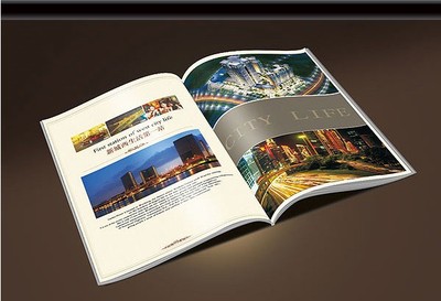 3ӡˢV湫˾:˔aӡ޹˾ô