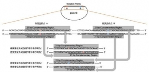 OӋPCROӋĻԭtʲô