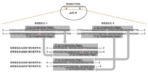 2O(sh)Ӌ:O(sh)Ӌԭtʲô?