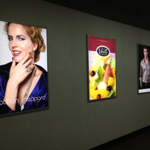 VЩ(yu)ݺ͑È(VĬF(xin)l(f)չǰ)