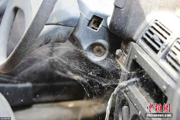 坐井觀天教學(xué)設(shè)計