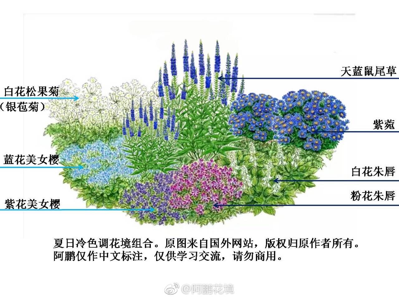 x񻨾O(sh)Ӌ׌Ļ@ɞ骚һoľ^