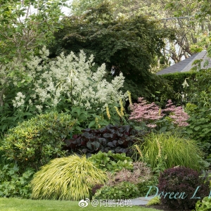 O(sh)Ӌ(j)o㲻һӵĻʢ(O(sh)Ӌ(j)˾@Č)