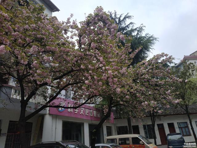 品牌傳播定制解決方案